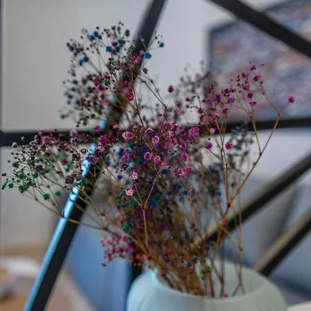 Lejlighed Pinna - Vanga Pula