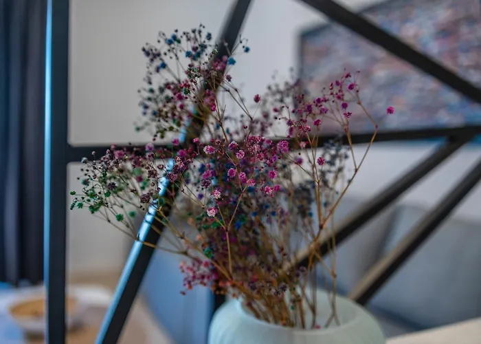 Apartament Pinna - Vanga Pula